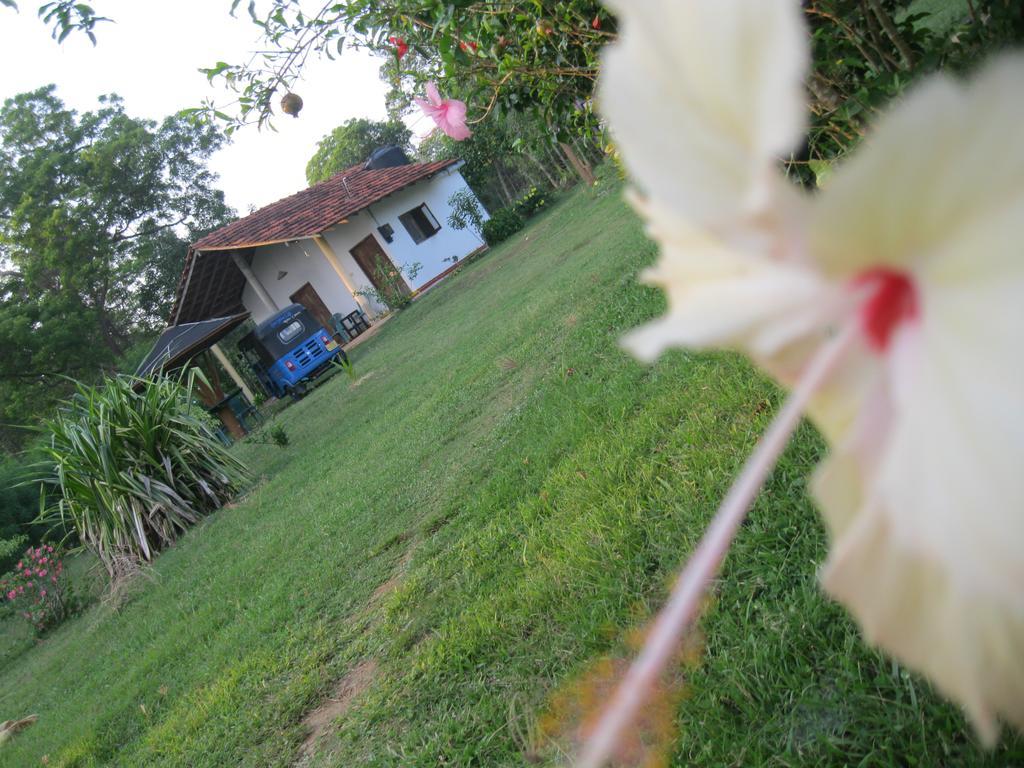 Sunshine Cafe Apartamento Tangalle Exterior foto